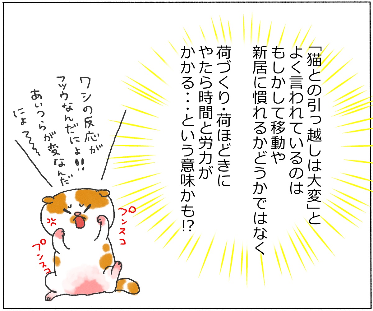 panchi11-12.jpg