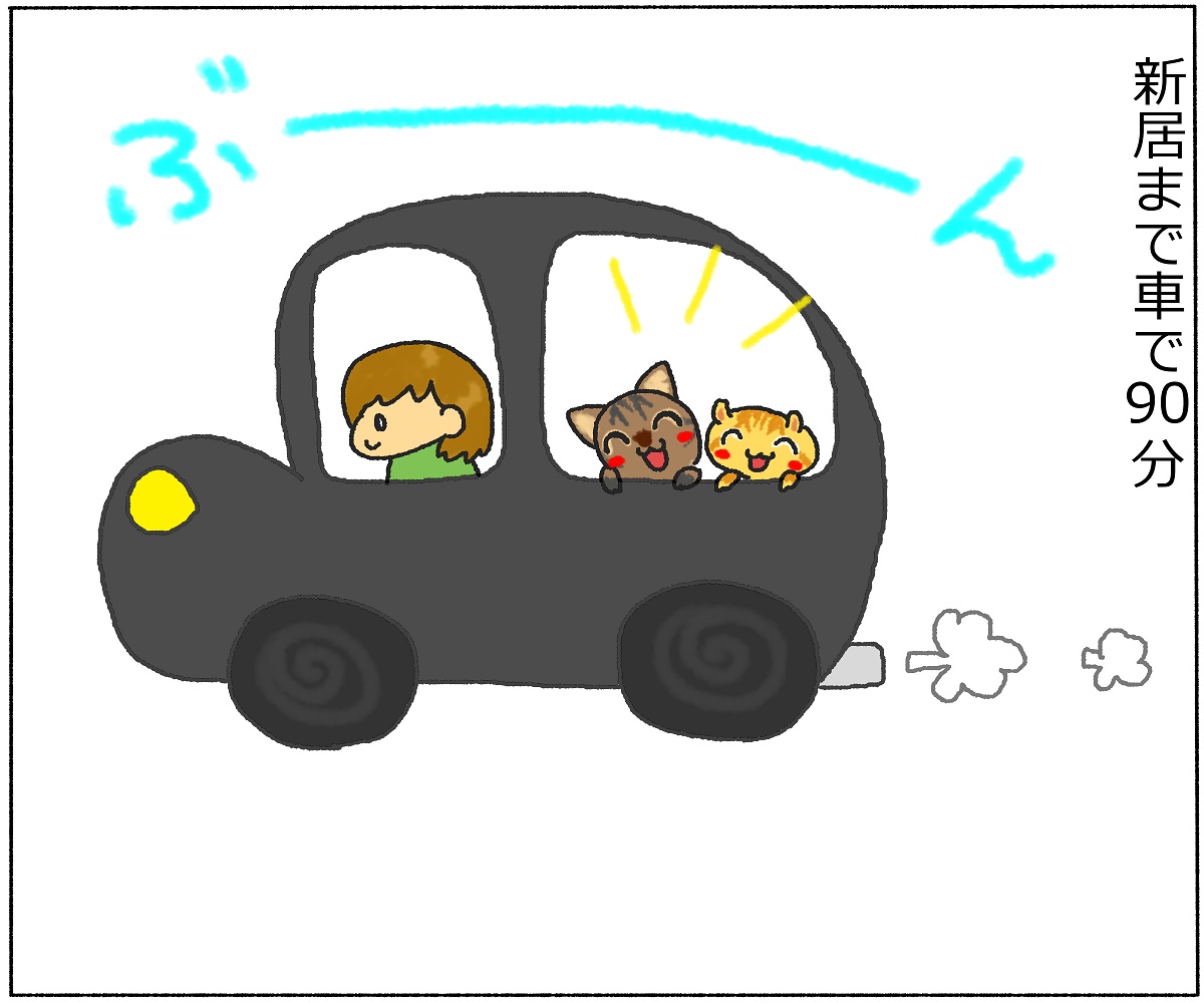 panchi11-3.jpg
