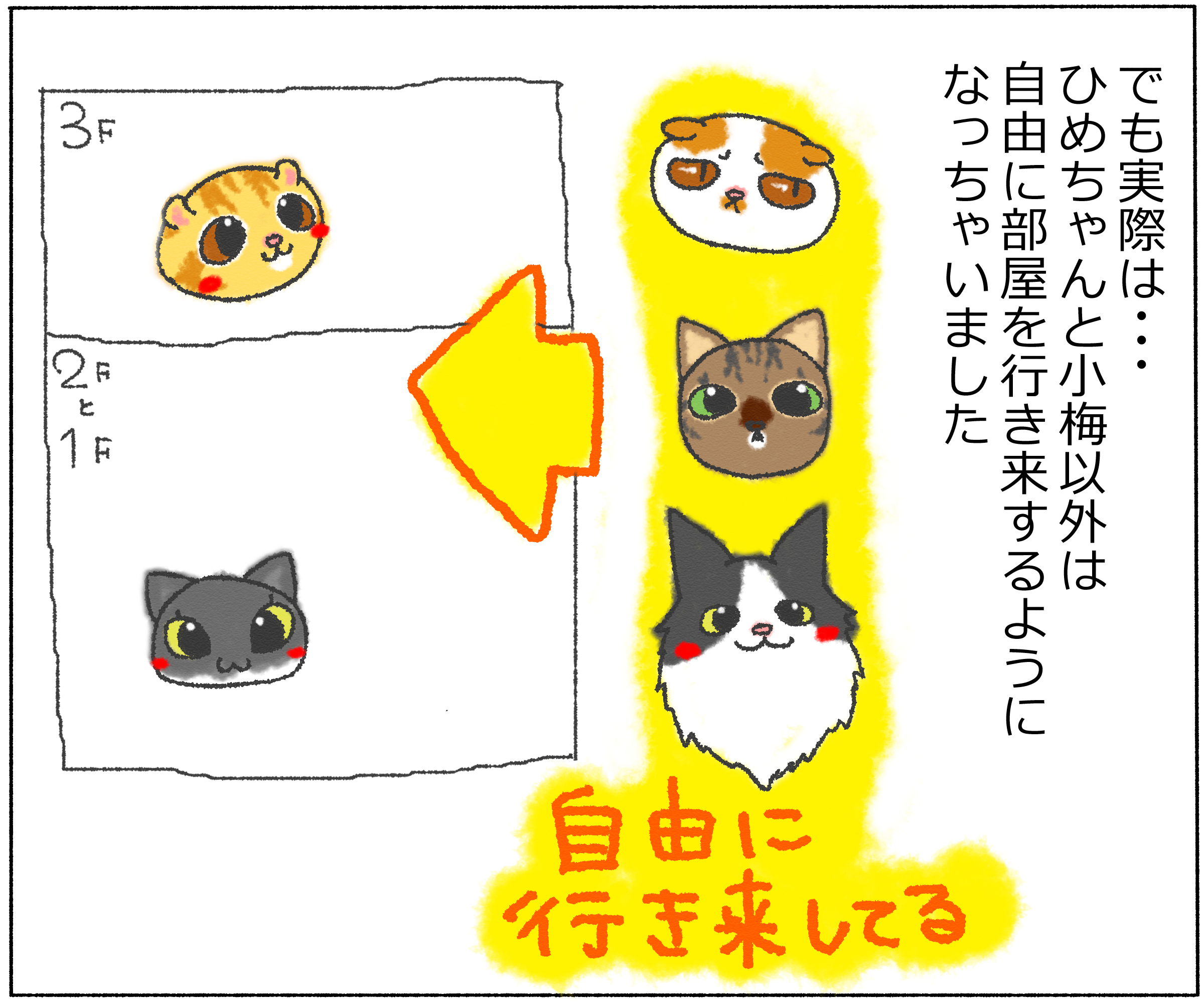 panchi12-3.jpg