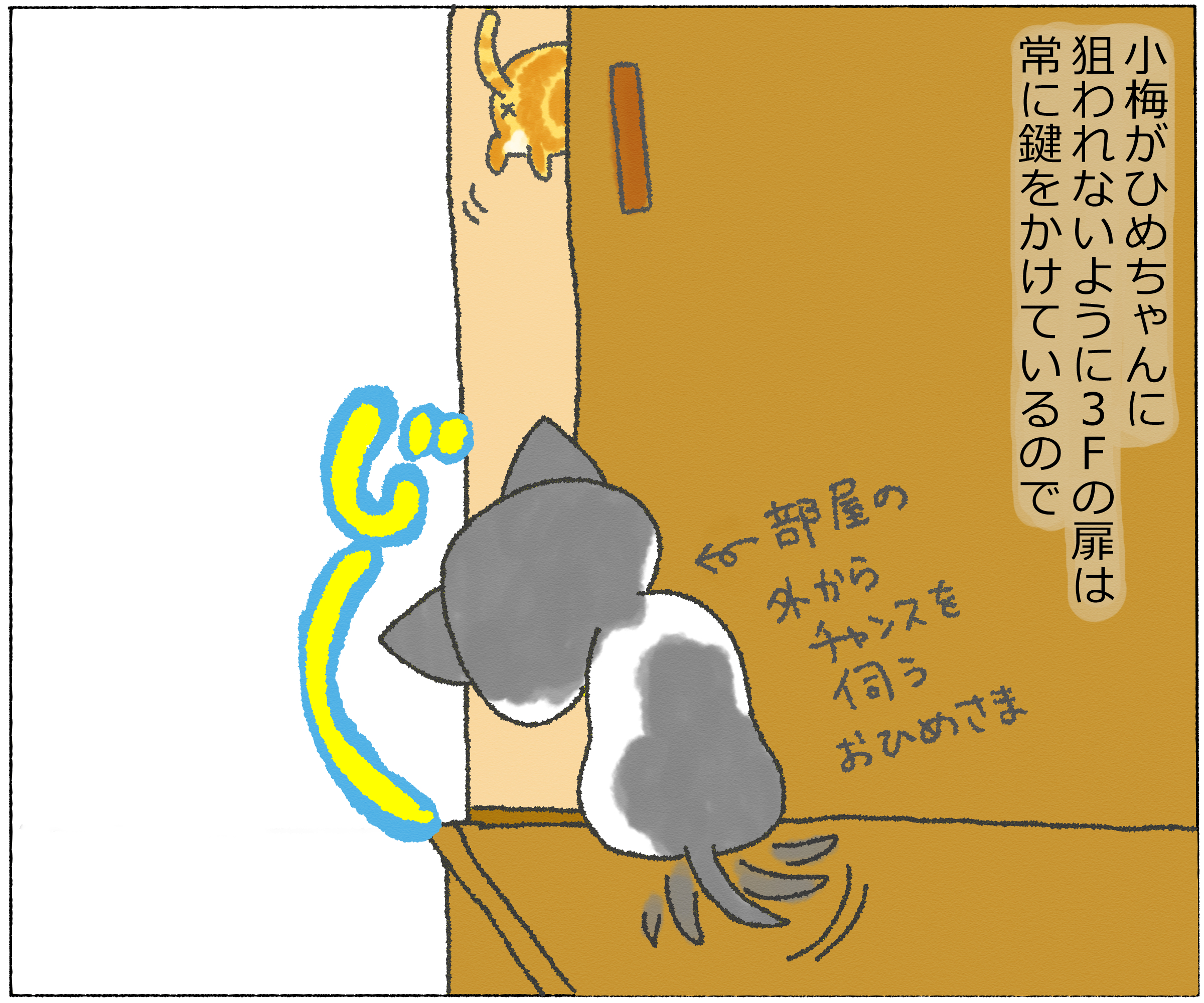 panchi12-4.jpg