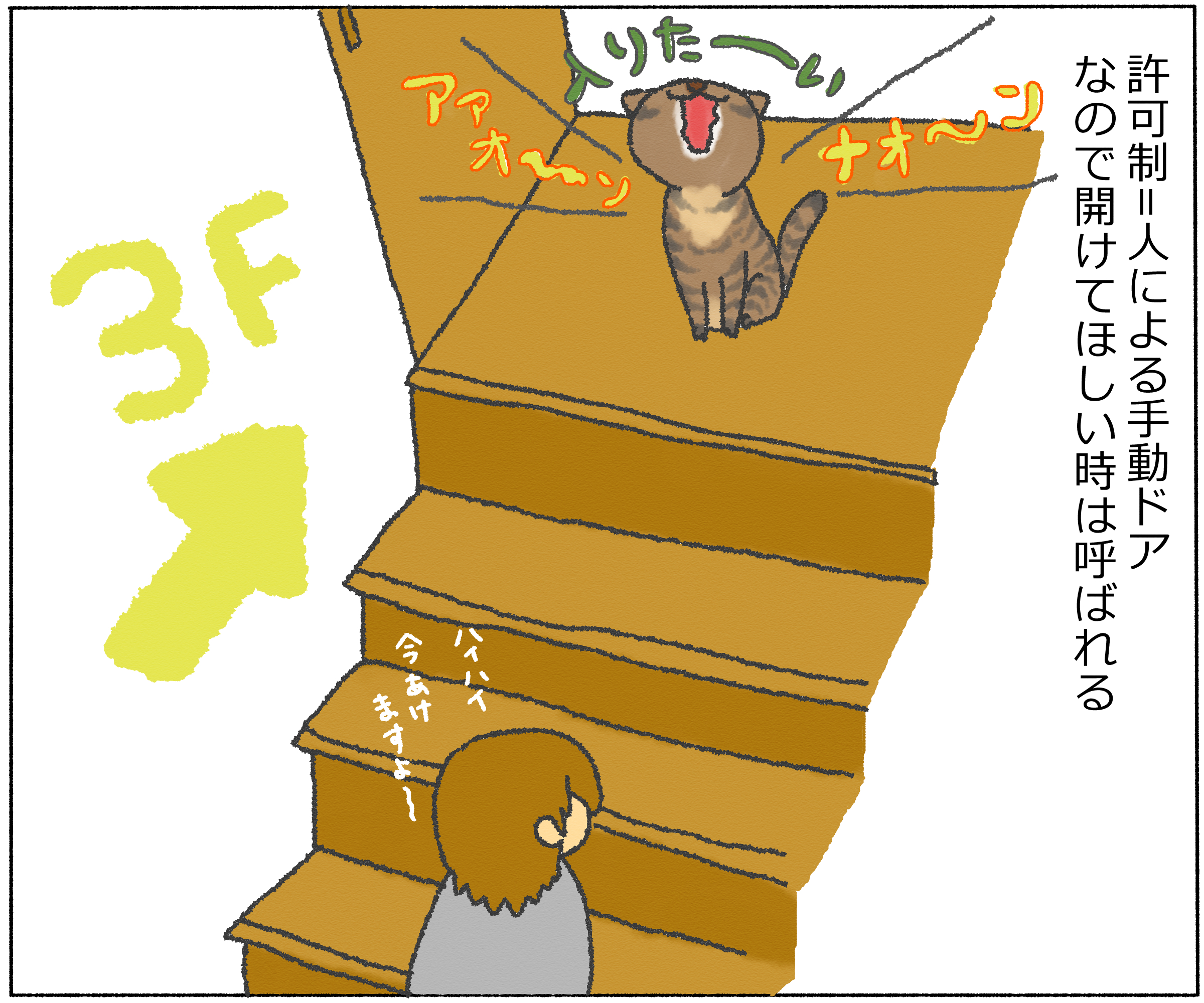 panchi12-6.jpg