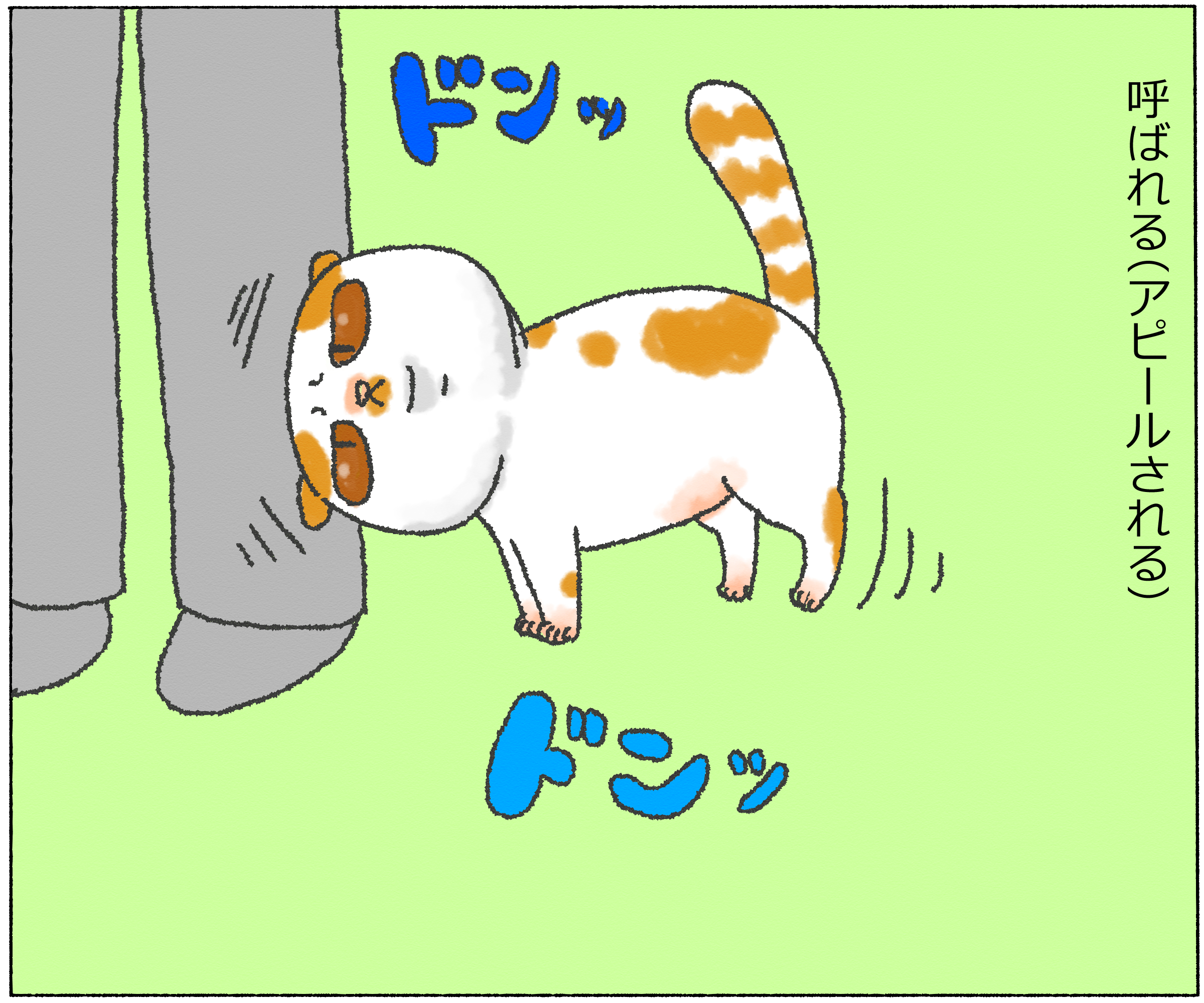 panchi12-8.jpg