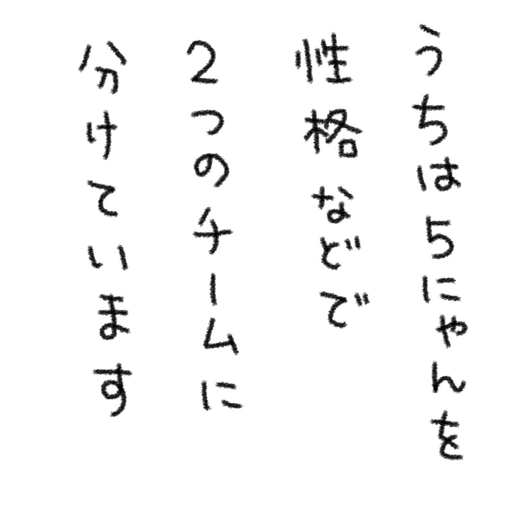 panchi2-2.jpg