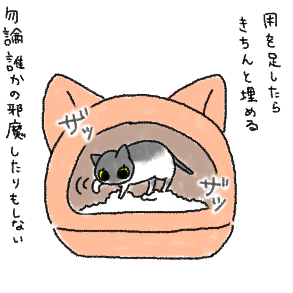 panchi3-4.jpg