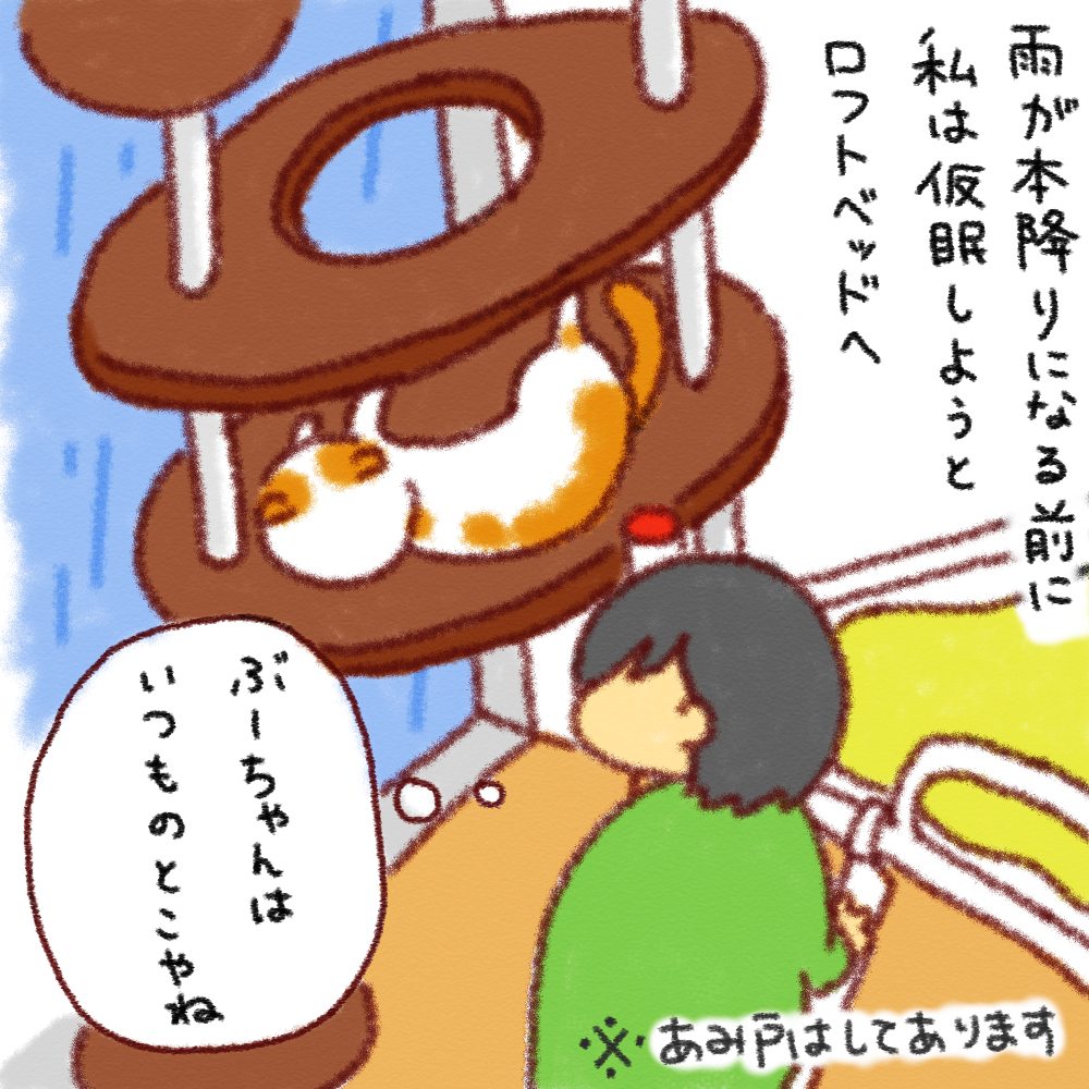 panchi5-2.jpg