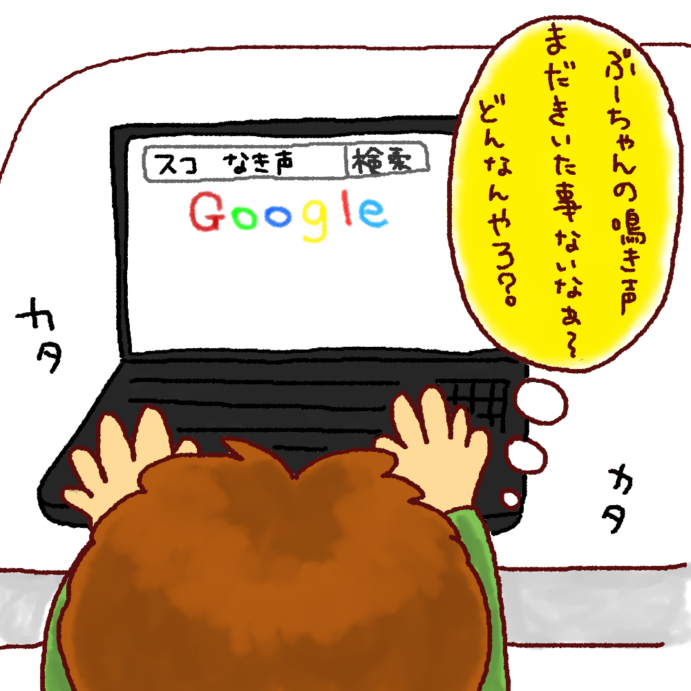 panchi9-1.jpg