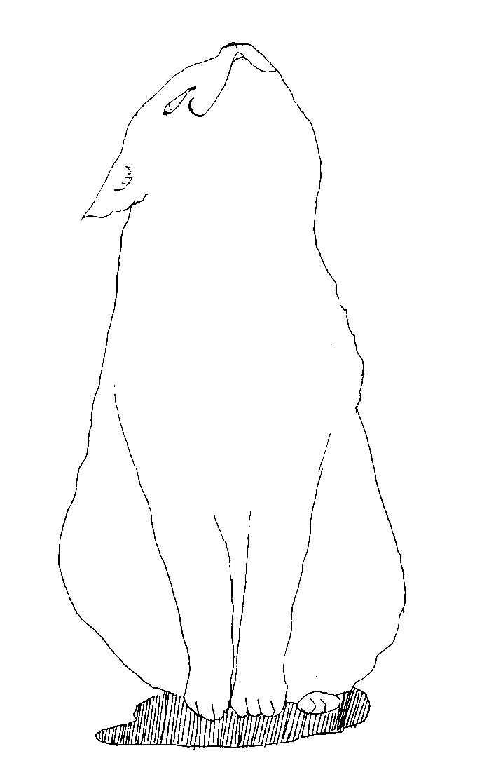 hennsinn.jpg
