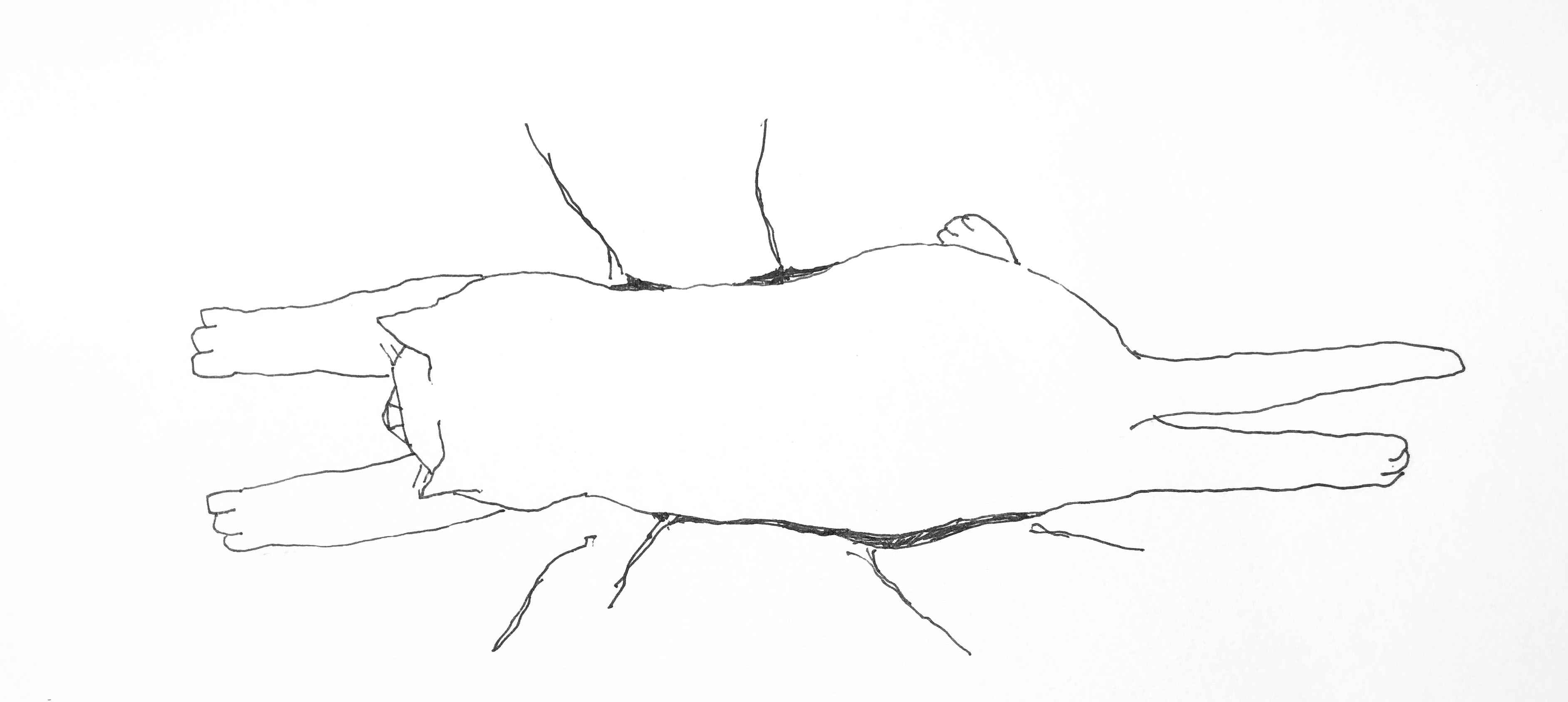 hiruneneko.jpg