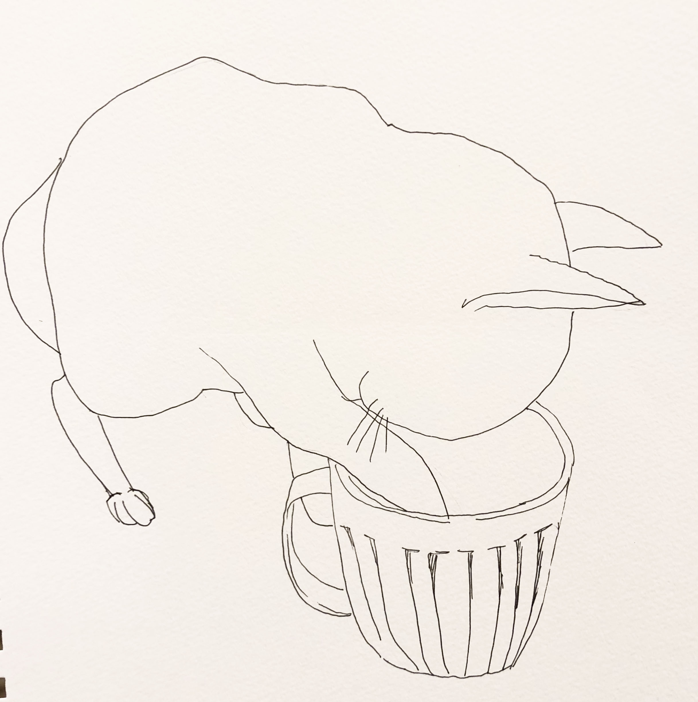 kappuneko.jpg