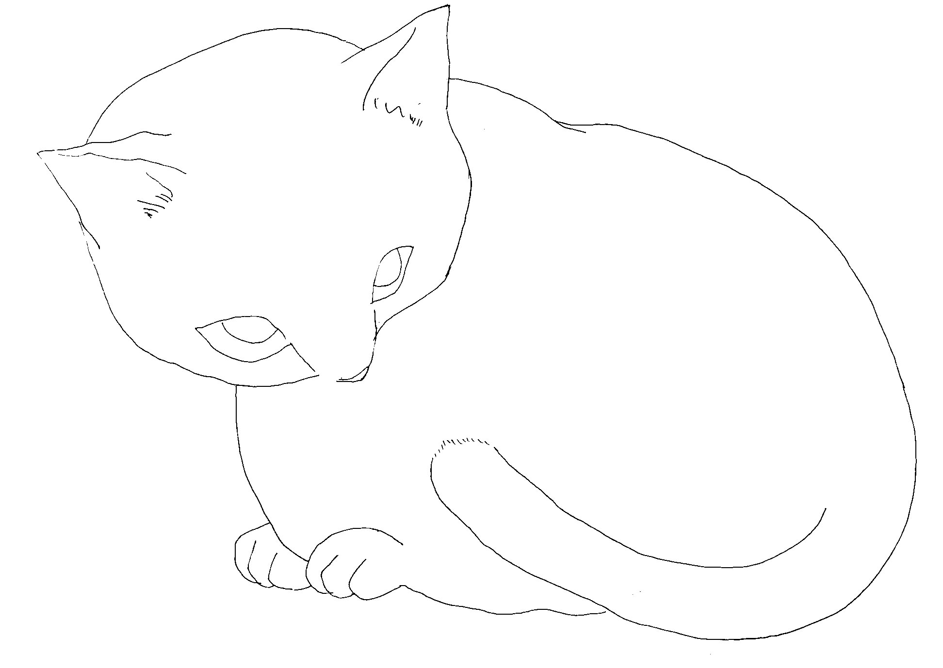 kitaku.jpg