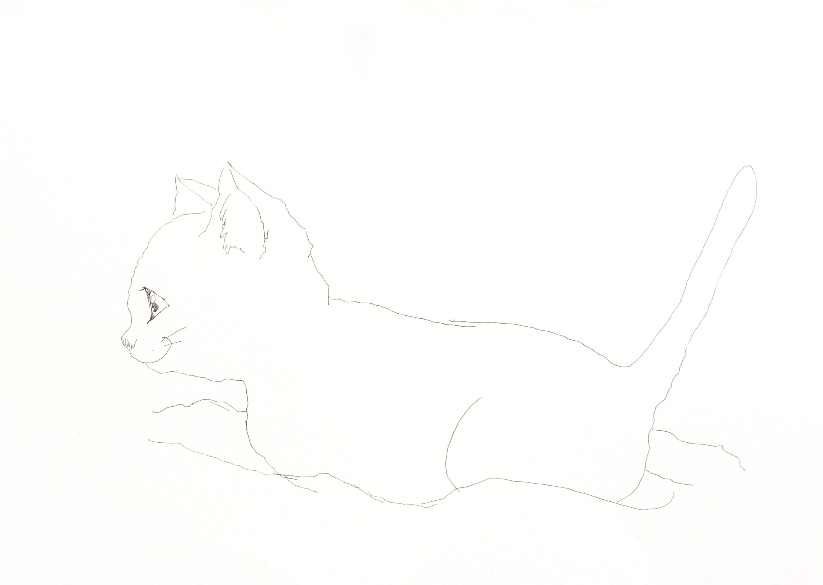 neruneko.jpg