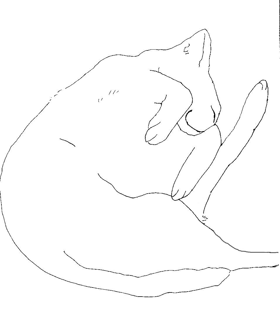 utatane.jpg
