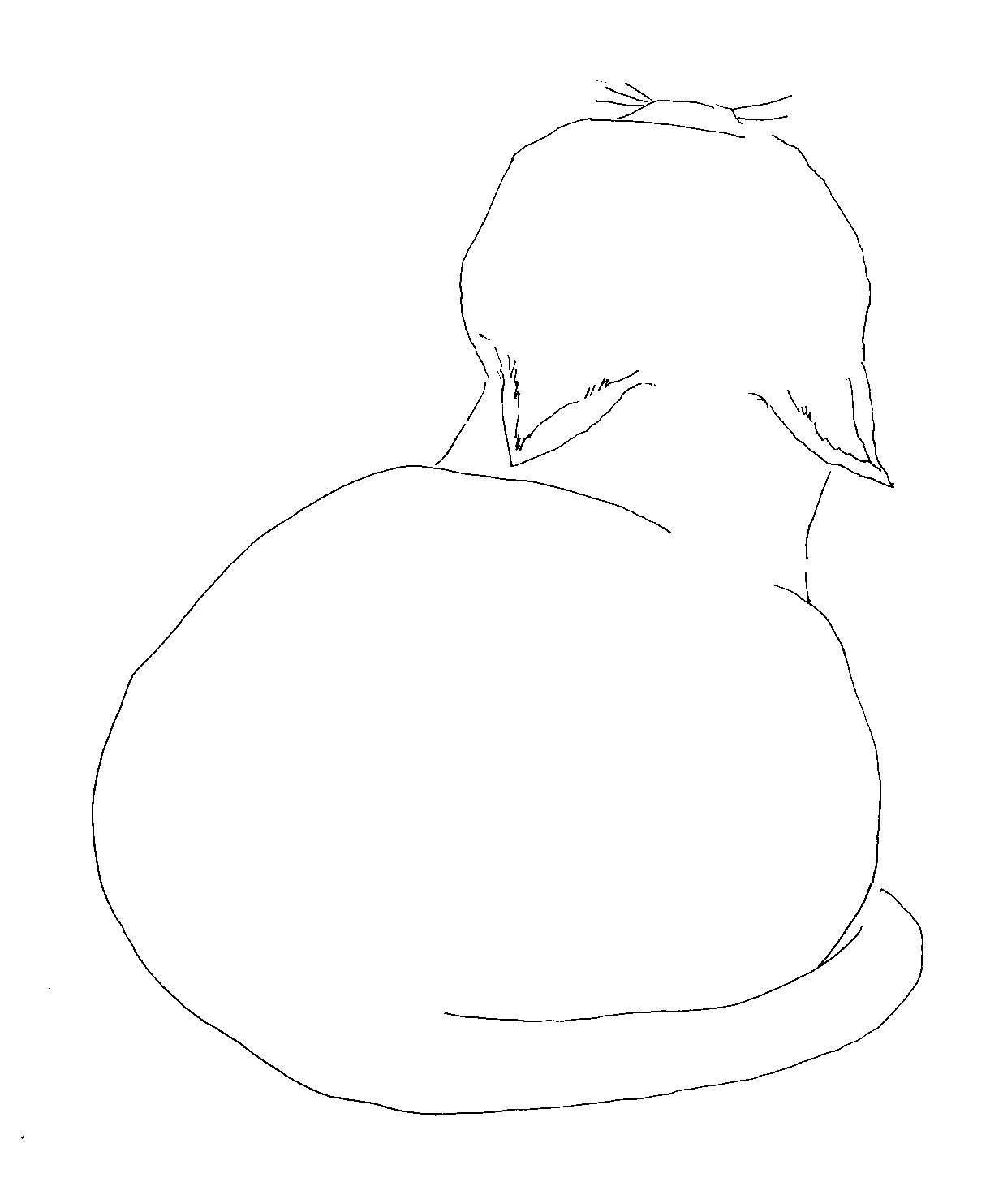 yukimi.jpg
