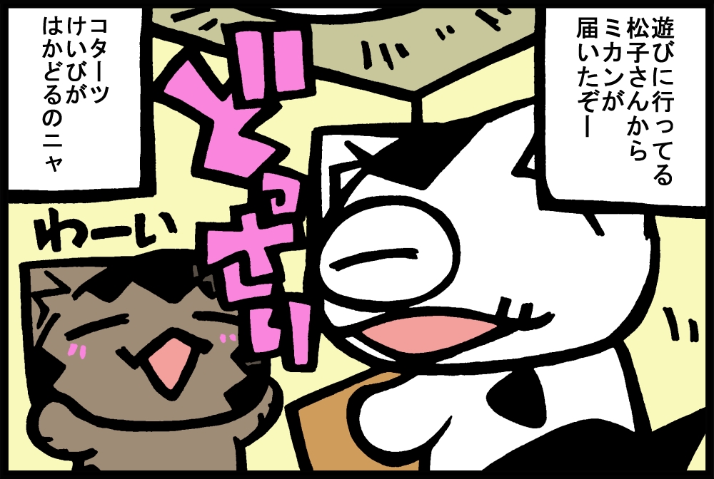 1019-2.jpg