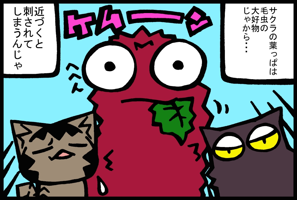 426-2.jpg