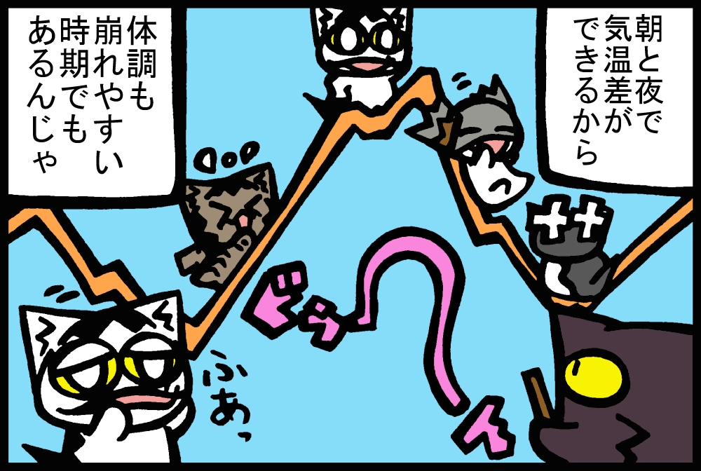 544-2.jpg
