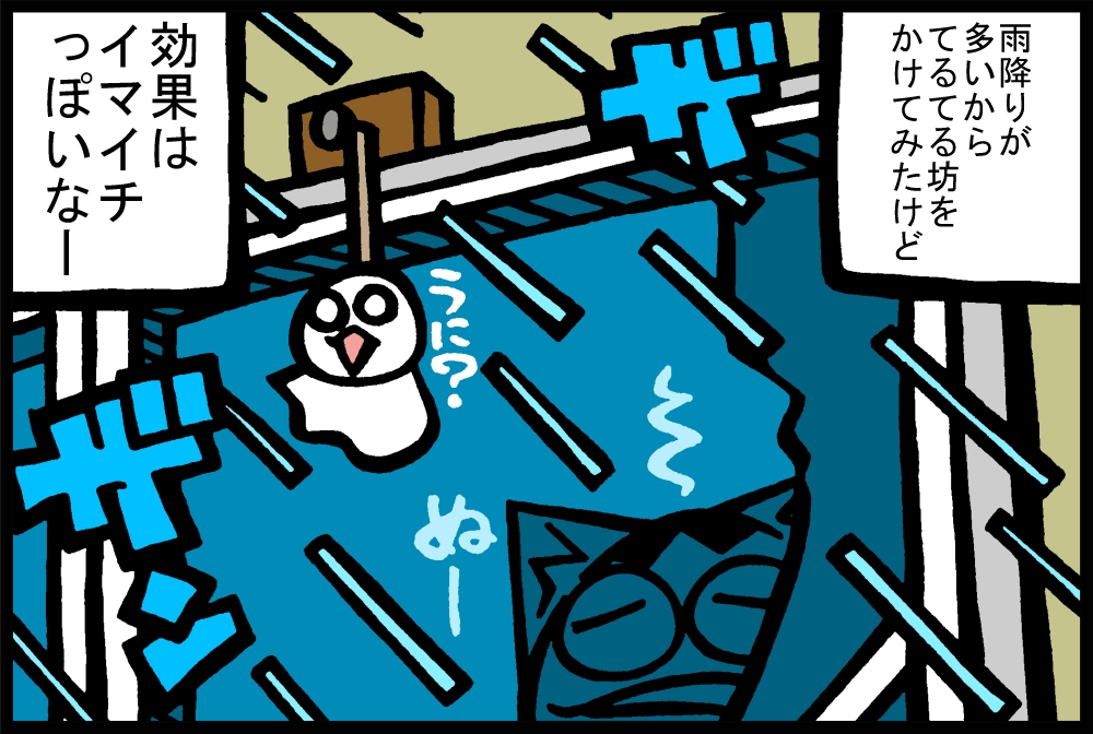 551-2.jpg