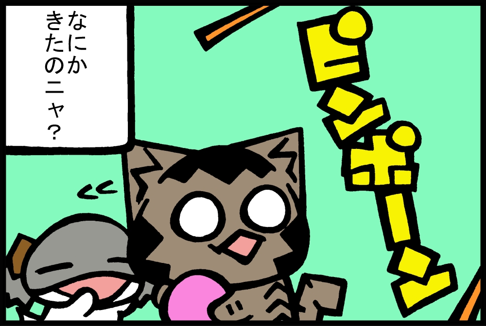 559-2.jpg