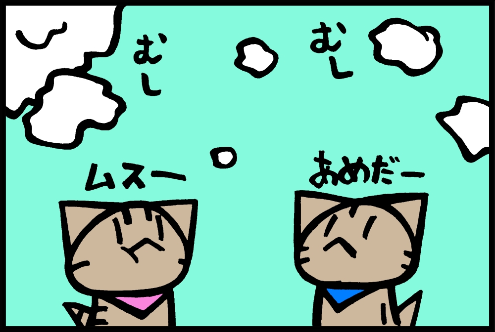 653-2.jpg