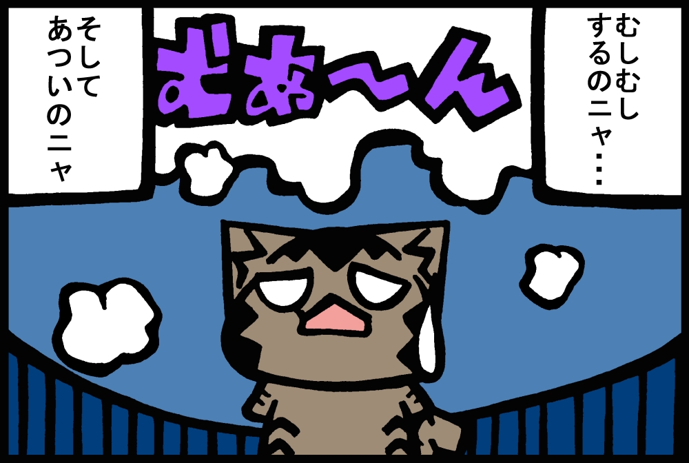 655-2.jpg
