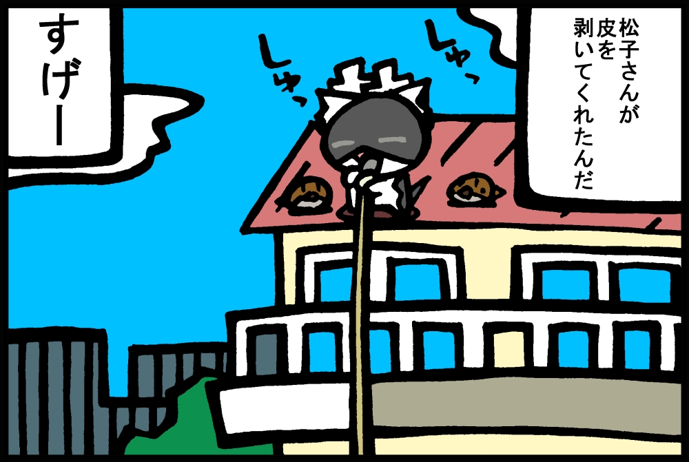 689-4.jpg