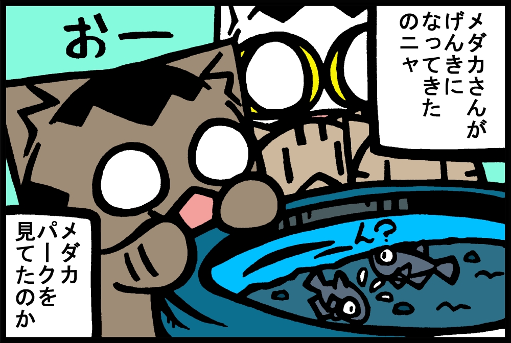 834-1.jpg