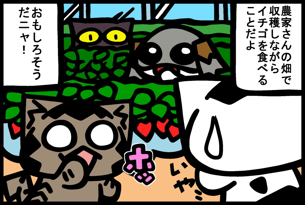 839-4.jpg
