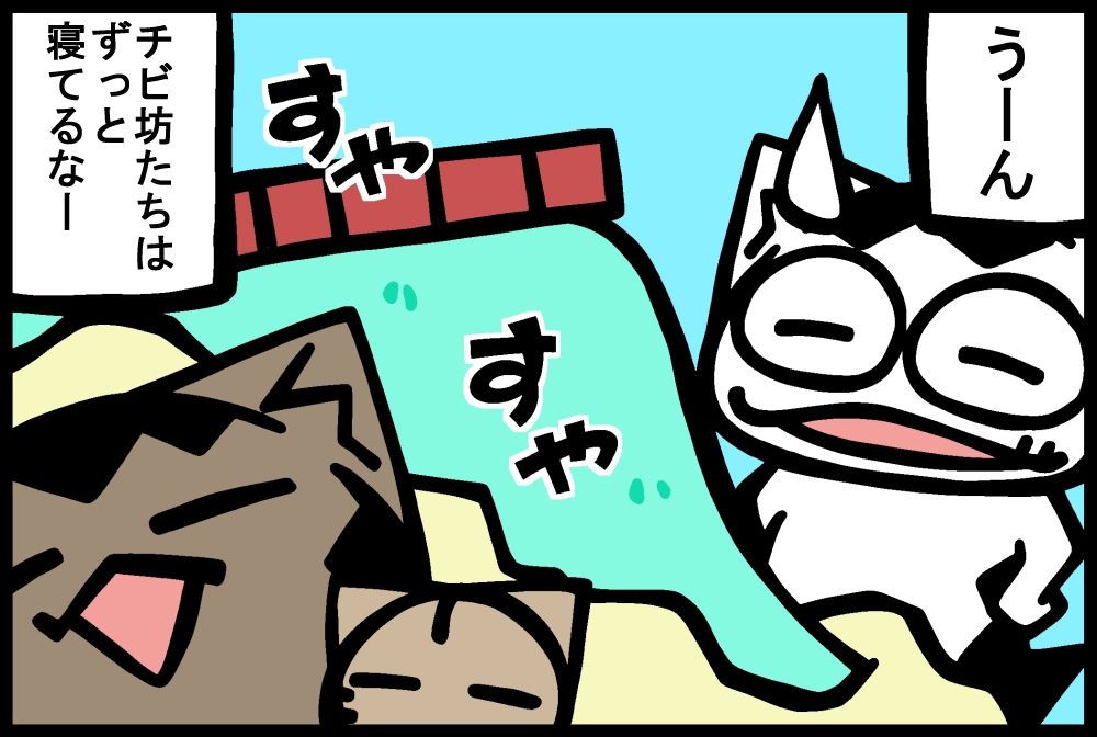 841-3.jpg