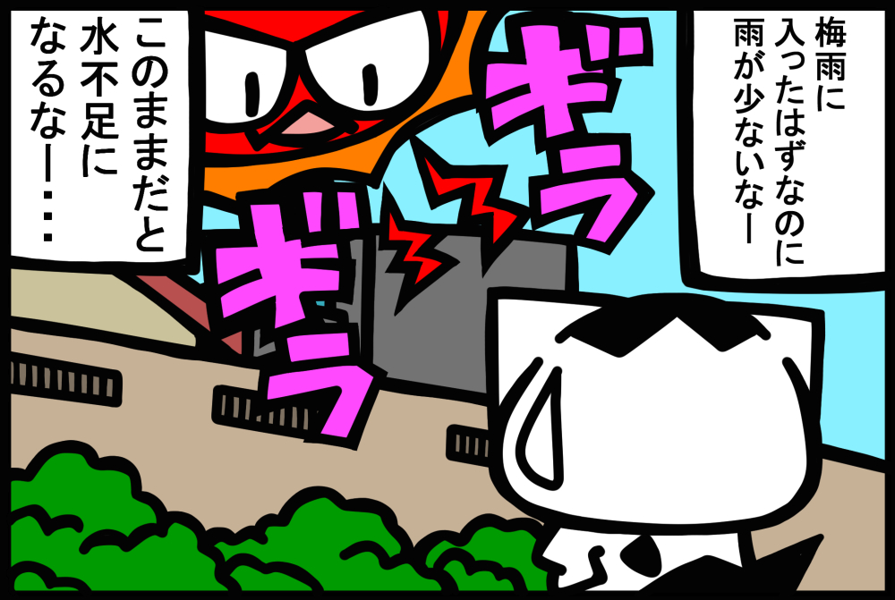 867-4.jpg