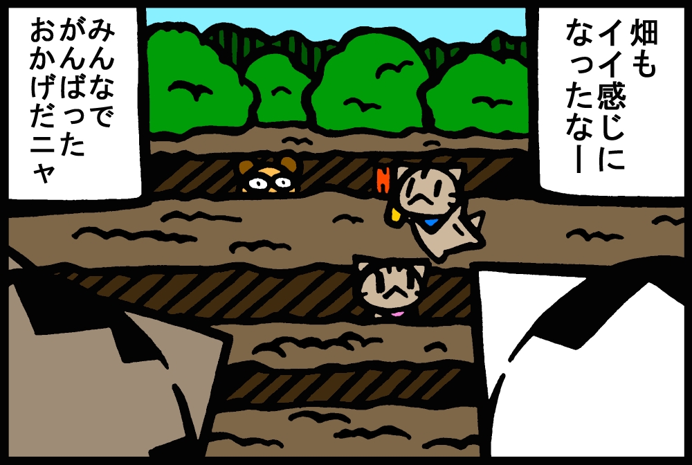 943-2.jpg