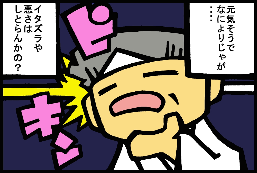 986-1.jpg
