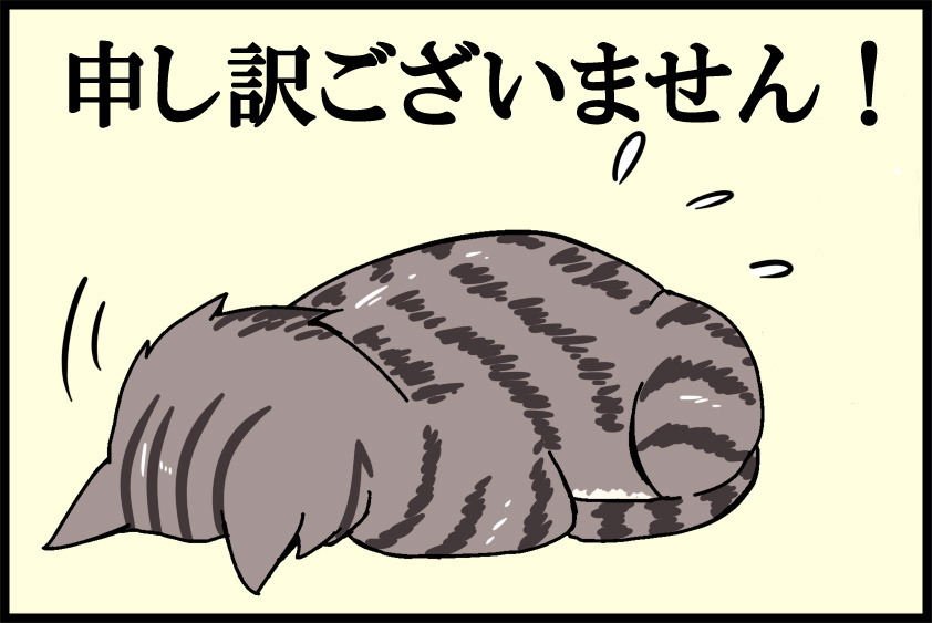 3_17.jpg