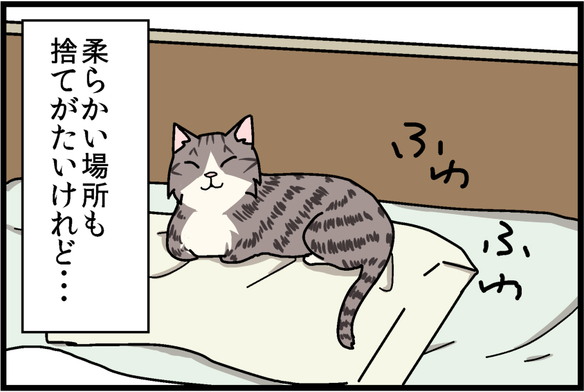 7_3.jpg