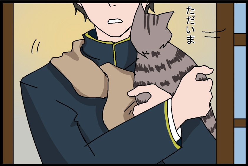4images.jpg
