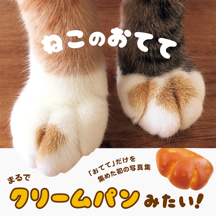 0203neko-1.jpg