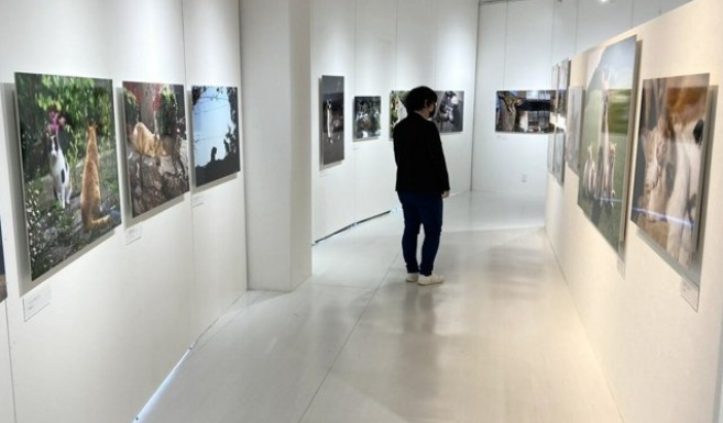 025-04-03 064921.jpg