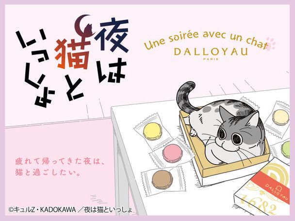 230201neko0.jpg