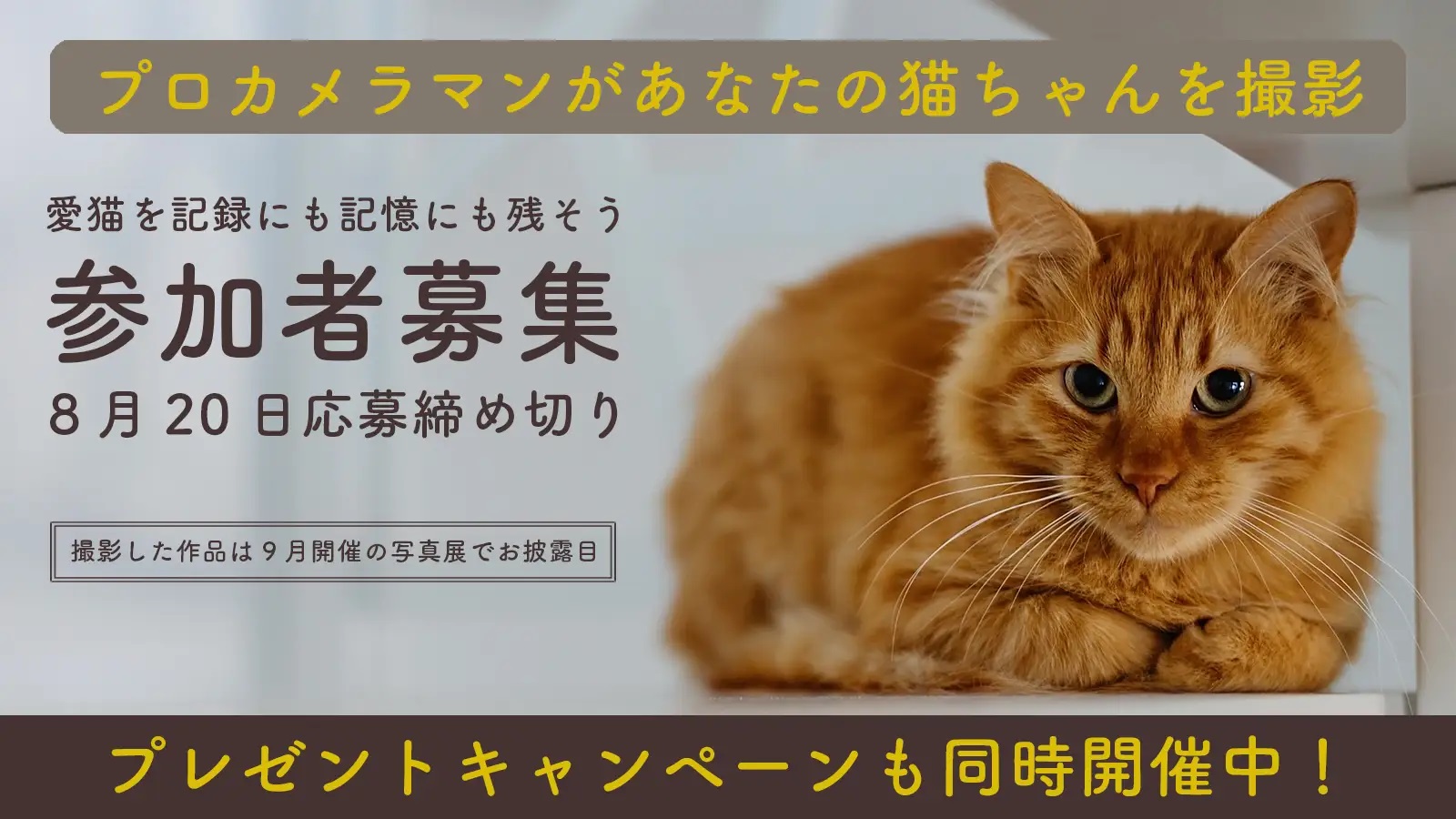 98486-3-fb996a7c78010b0b64991f285a5208c1-1600x900.jpg