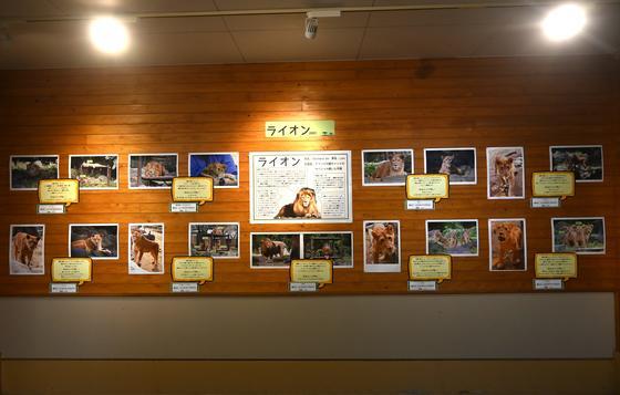 DSC_7152.jpg