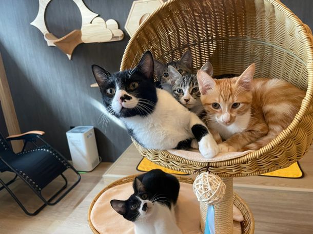 LL_img_334190_1.jpg