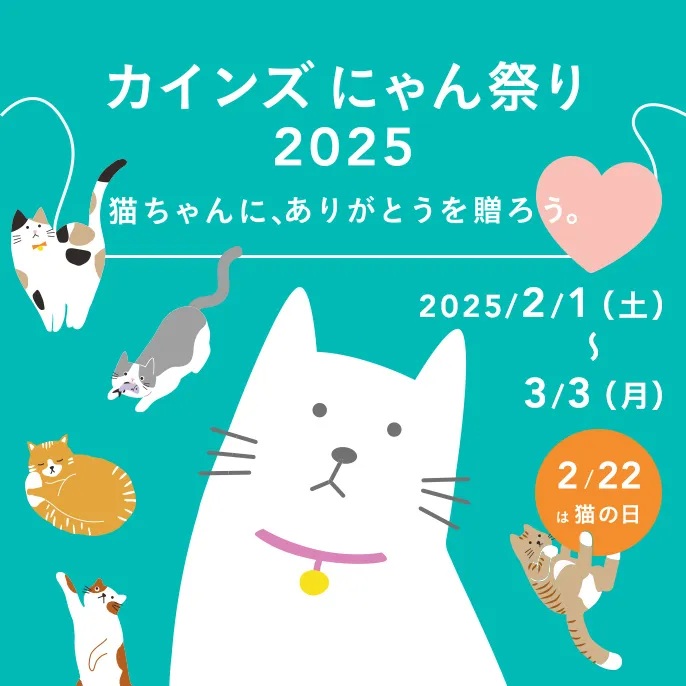 cat_day_686x686-1main.jpg
