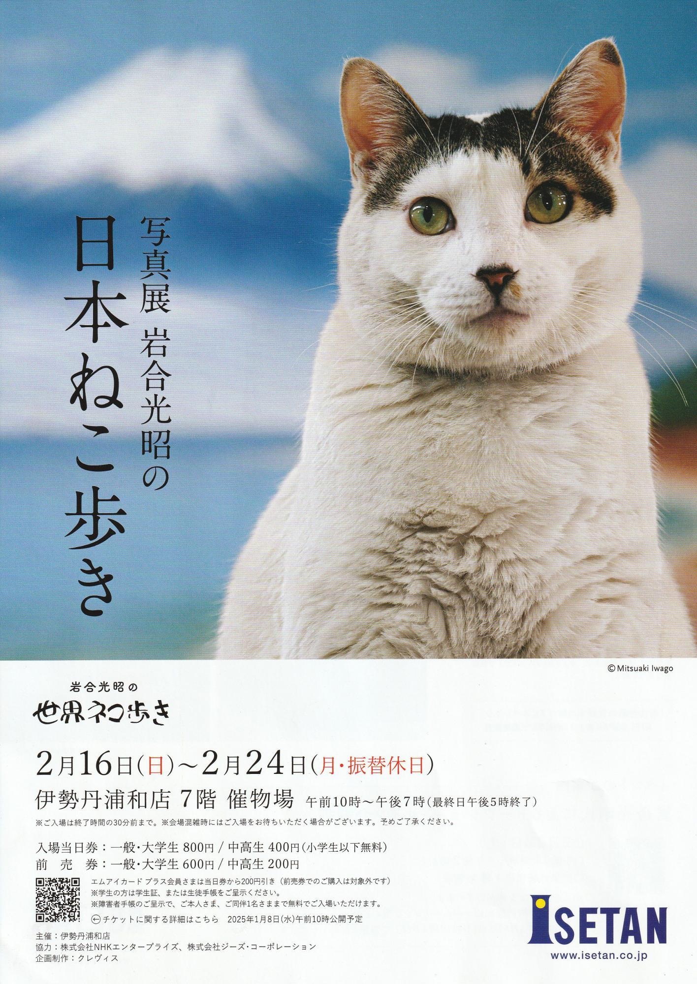 image-1740045774301.jpg