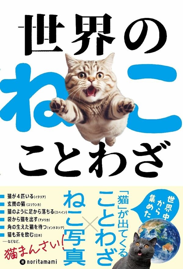img_e8c205ce971a6edbcffe150847ce1505493277.jpg