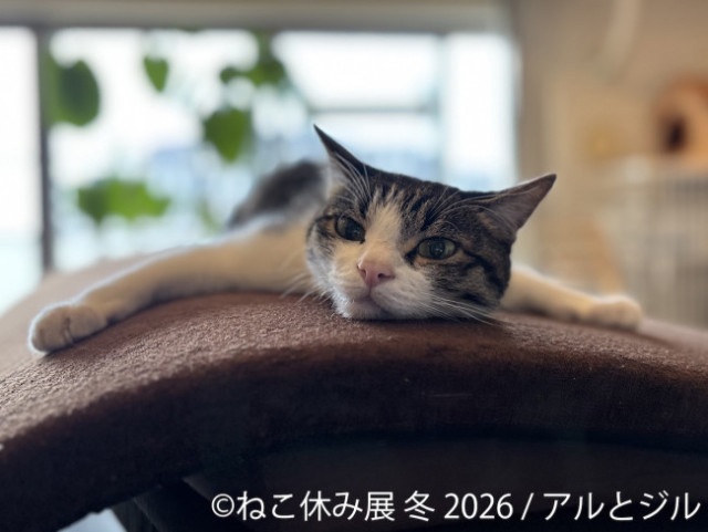 m_crankin_trend-17959411.jpg