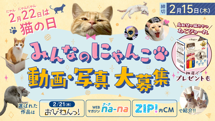nyanko-2024-730-thumb-730x410-49651.jpg