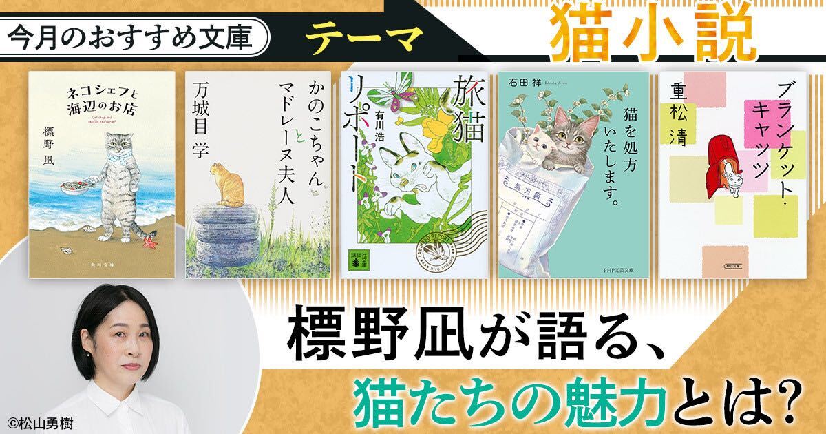 osusume_neko_1200x630.jpg