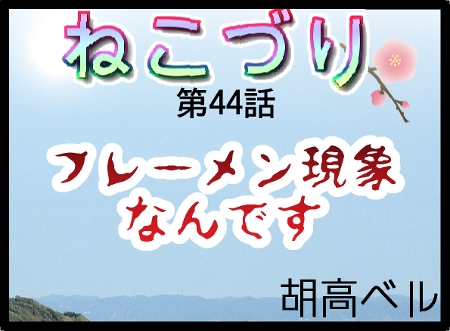 44-1.jpg