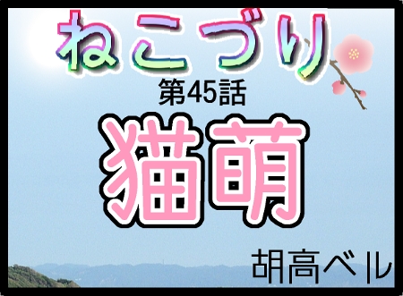 45-1.jpg