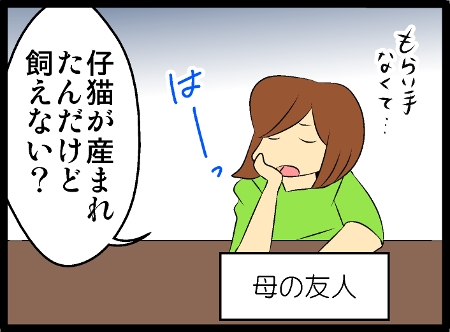 45-4.jpg