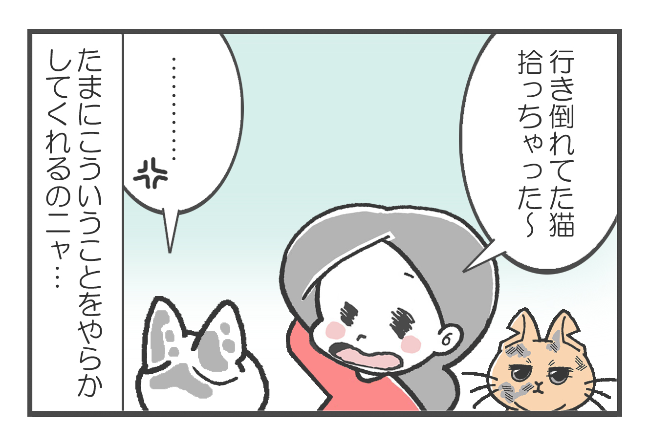 20190317_6.jpg